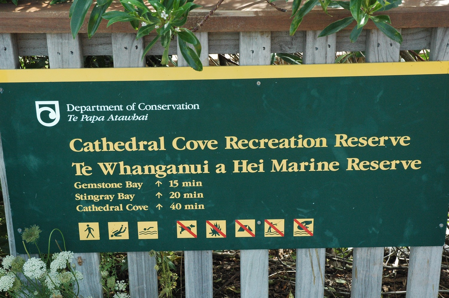 429   06 02   Coromandel   Cathedral Cove